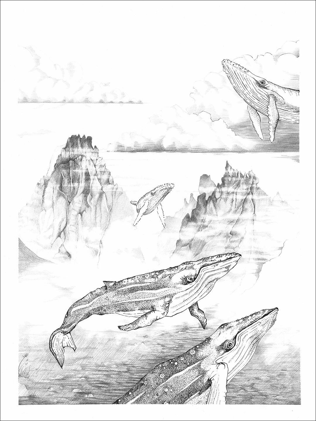 placefulness - kasia wilczopolska - głębiny - mountain whale