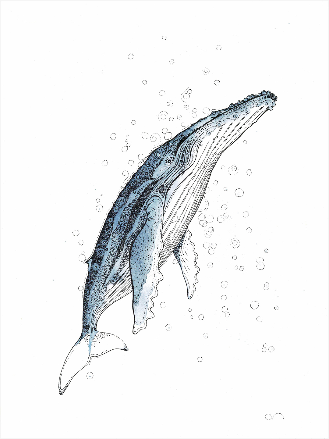 placefulness - kasia wilczopolska - glebiny - whale