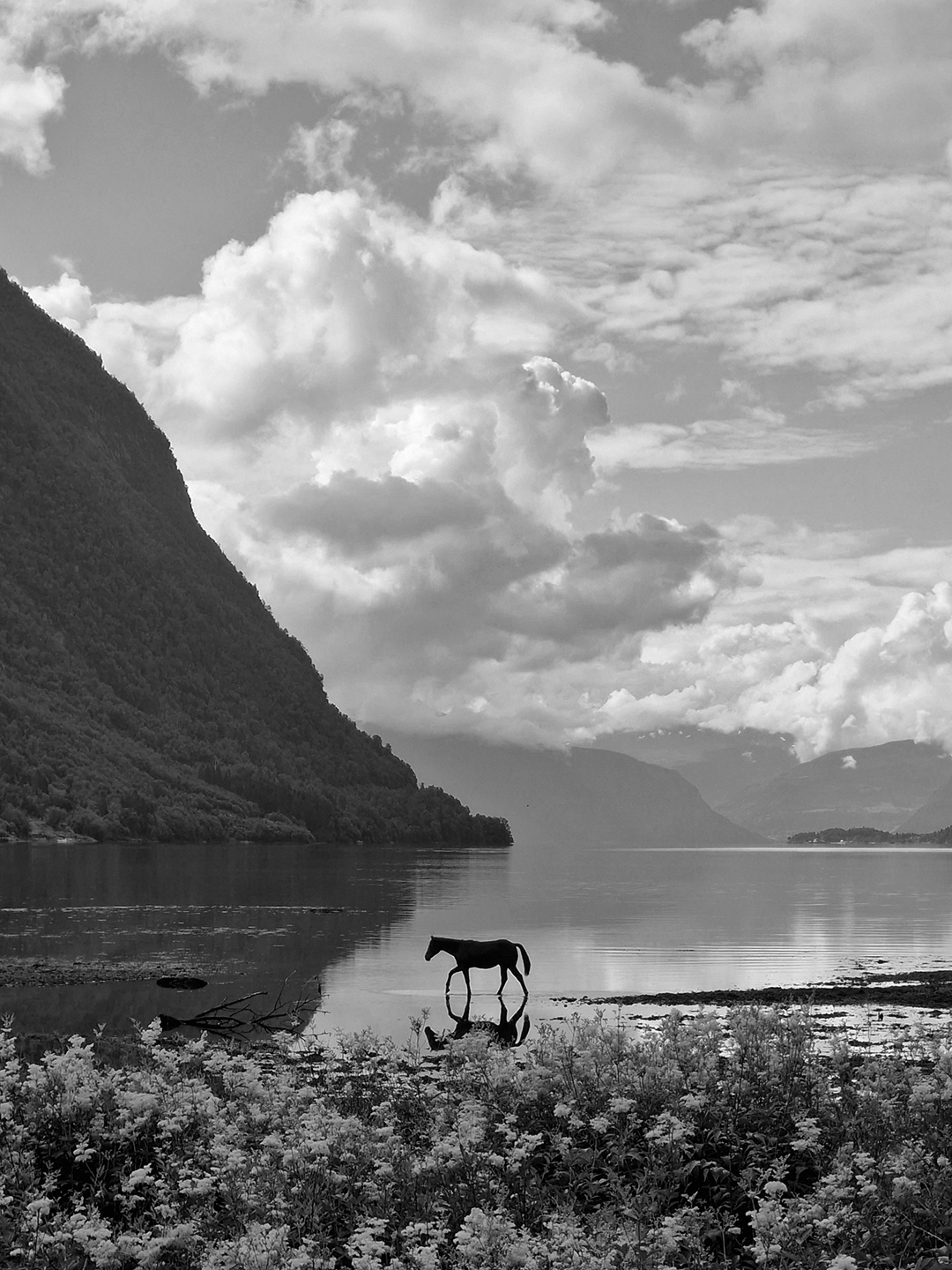 placefulness - kasia wilczopolska - norwegia - wild norway