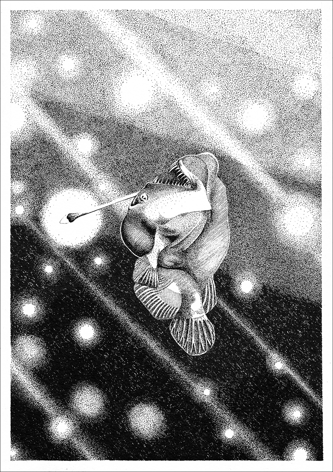 placefulness - kasia wilczopolska - glebiny - black dreamer fish