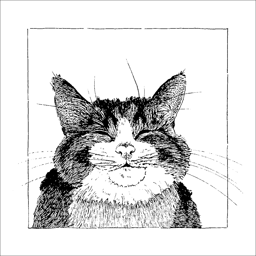 placefulness - kasia wilczopolska - inktober - i'm just a cat