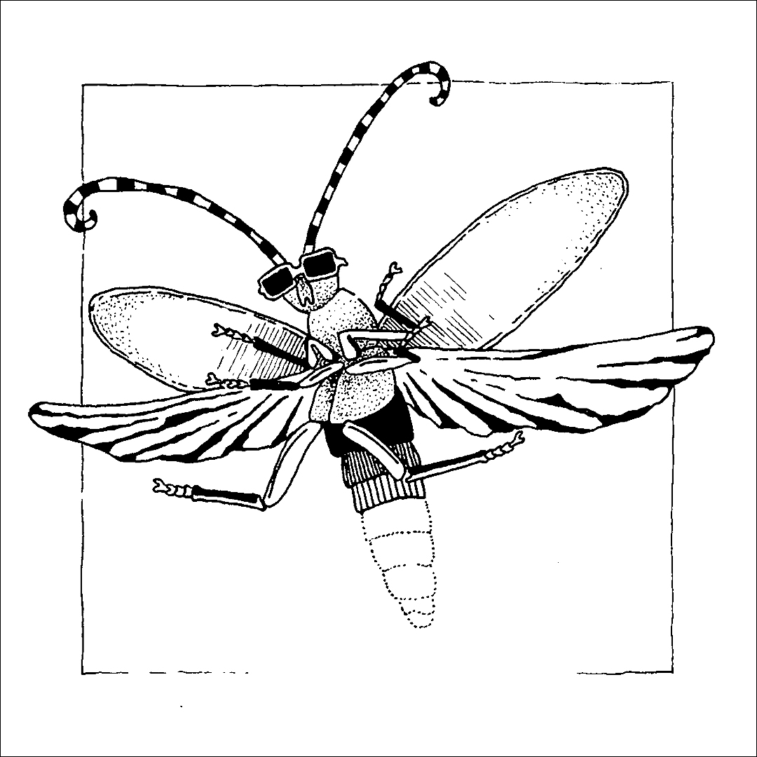 placefulness - kasia wilczopolska - inktober - świetlik