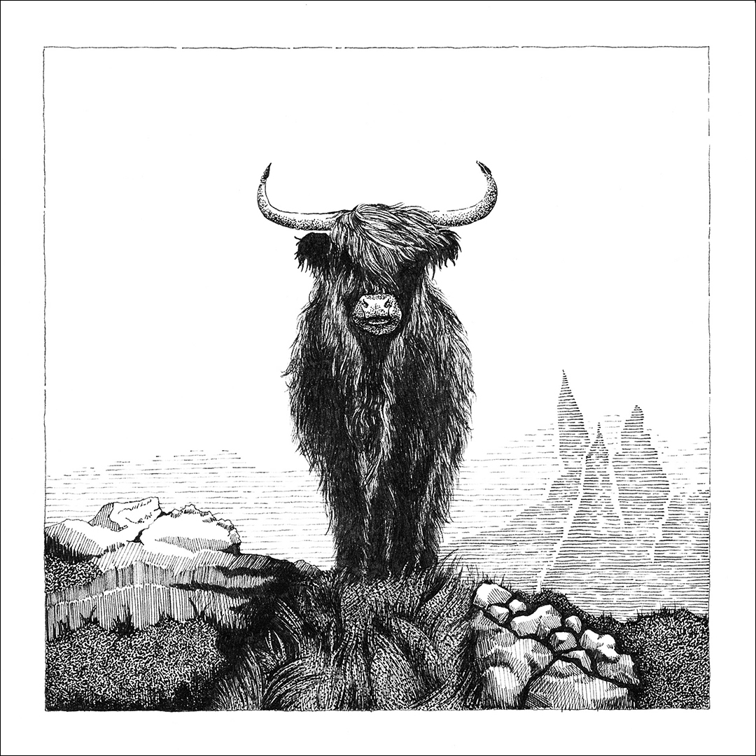 placefulness - kasia wilczopolska - szkocja - highland cattle old man storr placefulness - kasia wilczopolska - szkocja - highland cattle old man storr